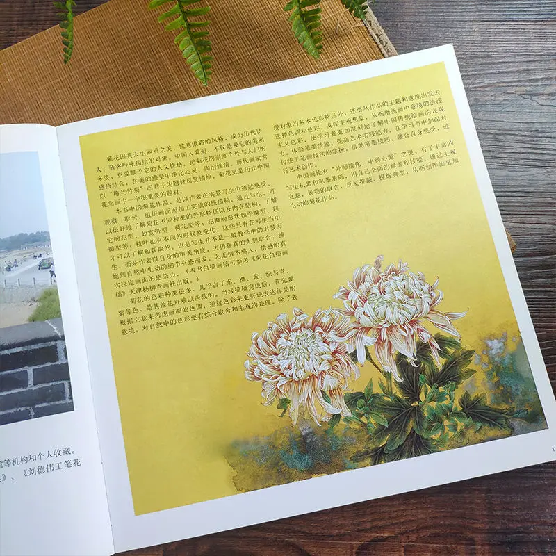 Pintura chinesa Livro De Crisântemo de Pintura Realistas Gongbi Pincelada Gong Bi Ju Hua Pintura com o Pincel 33pages Imagem 3