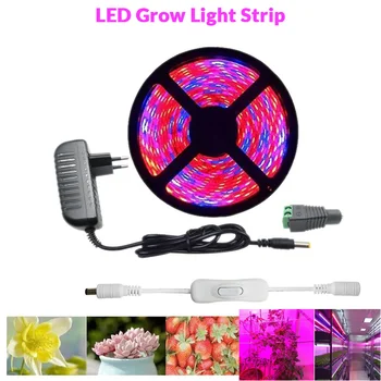 LED Planta Crescer luzes de Tira 5050 5m Impermeável Espectro Completo Flores de Plantas Fito Lâmpada para a Estufa Hidropônica+adaptador de Energia